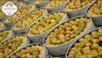 Zaitoune Baklawa "Osch Albulbol" (Zeytunaoglu Baklava - Bülbül Yuvasi) 500g – Bild 2