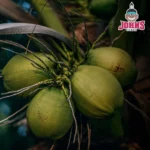 JOHNS Cubes Naturkohle 27mm 1kg (64 Stück) Shisha Kohle – Bild 8